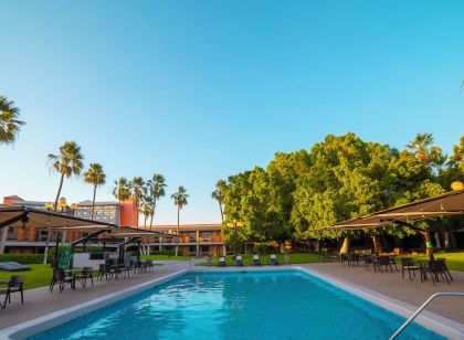 Vicuña Corp declares huge copper, slot Mega Moolah silver and gold deposit inside the San Juan