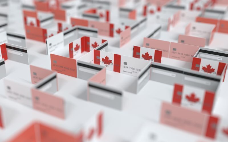 Totally free Hiking Close by Camp at no cost!