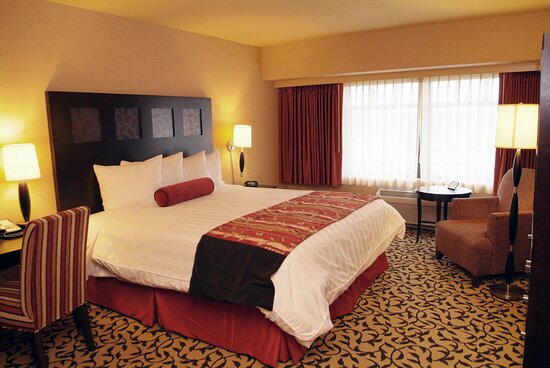 The newest Zero-Deposit Bonuses Number December step one, 2025