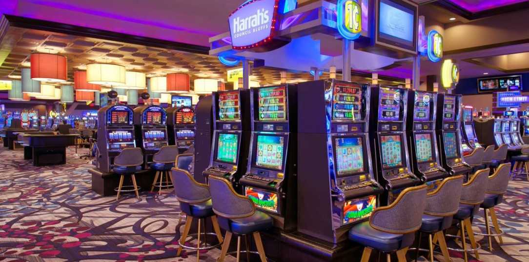The newest Queen Panda Playtech video slots Position review Incentives Pokies Choice