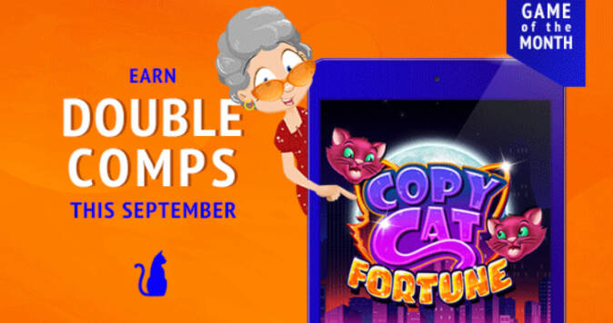 Wunderino Casino 2025: Top-Slots, Boni & schnelle El Torero Angebote Auszahlungen