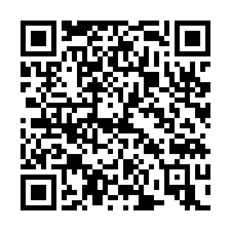 WowBet ish jurnali 2025