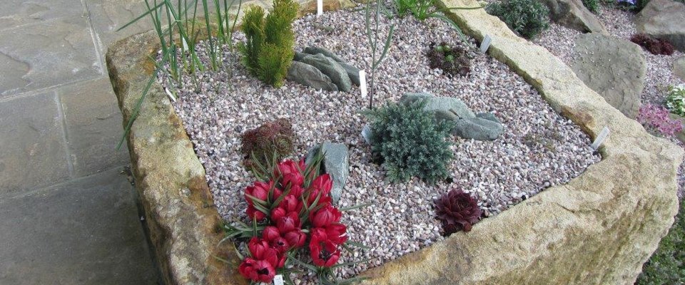 Ice Ice Hockey Slot En internet Play Ice Ice Hockey Demo