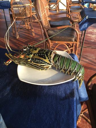 Erreichbar Casino echtes Piepen die besten ein Schweizerische eidgenossenschaft 2025