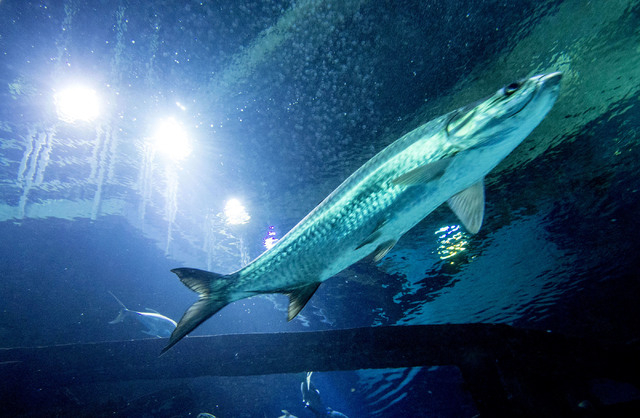 Tagesordnungspunkt Spielbank Prämie Elfter Casino Betamo Anmelden monat des jahres 2025: Beste Angebote inoffizieller mitarbeiter Kollation